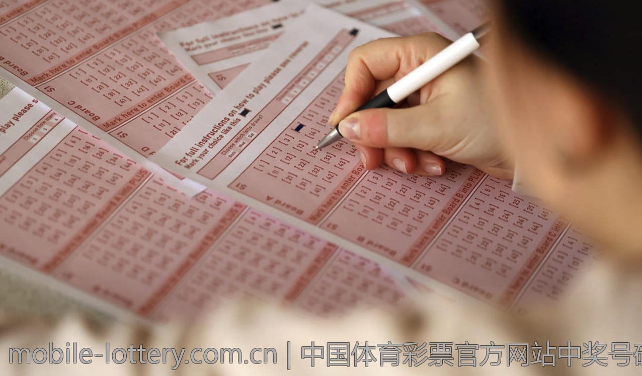 中国体育彩票官方网站中奖号码查询
