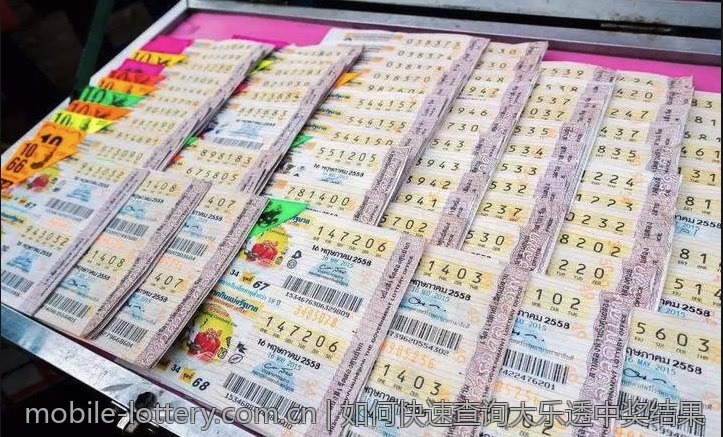 如何快速查询大乐透中奖结果